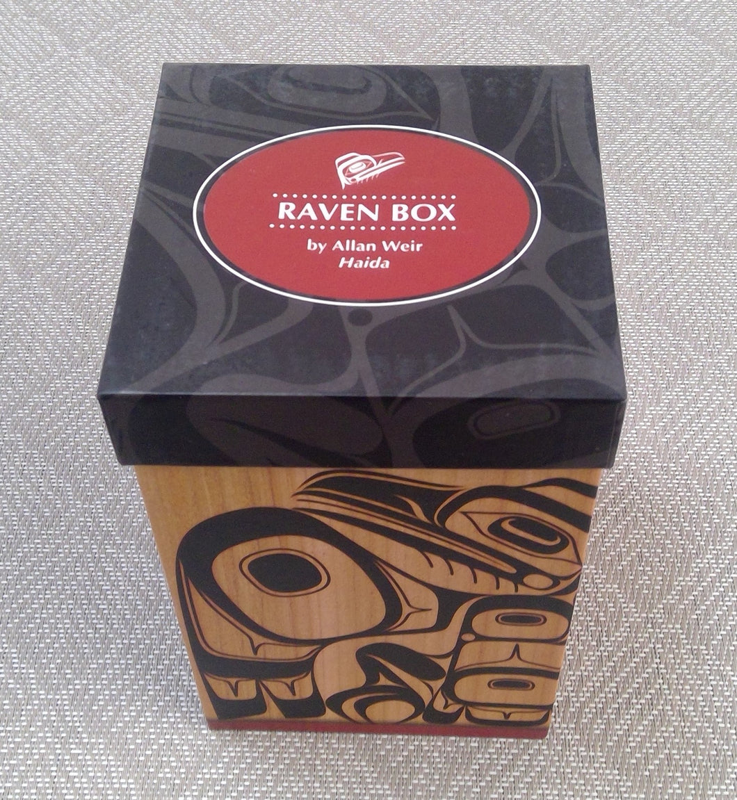 Native Northwest Raven Box mug